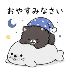 naonao_20260527011034