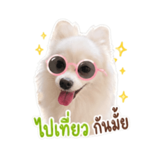 Kammika_20260429153543