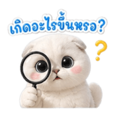 Peemai_20260429153651