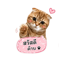 Simon_20260429154124