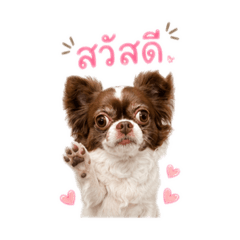 Earnchannn_20260429154201