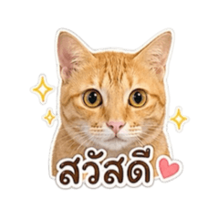 Kiana_20260429154206