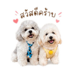 Angpaodollar_20260429155942
