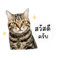 CANZ_20260429160013