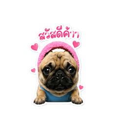 LOOKMAI_20260429160758