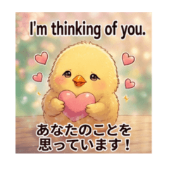 Fumi_20260523150455