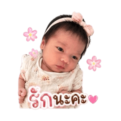 Prime_20260429161553