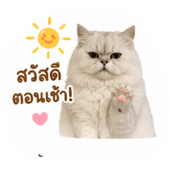 Ruksit_20260429161742