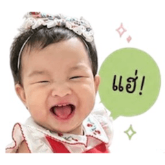 Phitcha v1_20260429162019