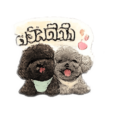 Poodle Lover_20260429162227