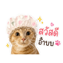 WINNER_20260429162359