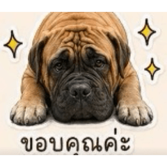 Torh_p_20260429162350