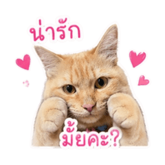 Eiam_20260429162824