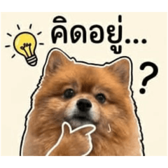 SutichaiEiEi_20260429162947