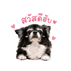 Beebieberz89_20260429163837