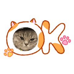 Tokyo meawww