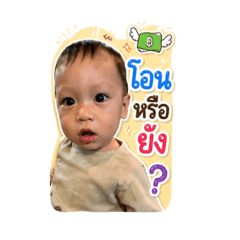 Gibgilf_20260429164320