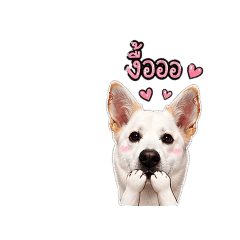 Nannapat_20260429164512