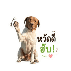 Thanita_20260429164613