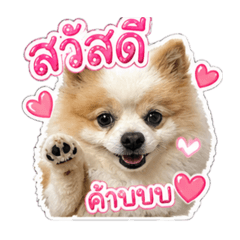 Aunpan_20260429164720