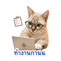 Jirayu_20260429164526