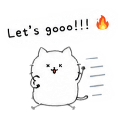 Stick Cat reply!