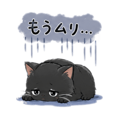 nakamasa_20260526202131