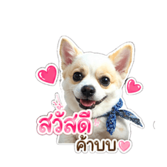 Aunpan_20260429165734