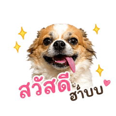 aunneaoon_20260429165659