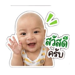 Pannipa_20260429165819