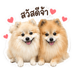 Salisa_20260429165845
