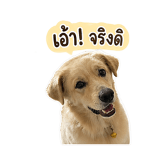 Moji_20260429170034