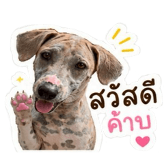 Rawiwan_20260429171332