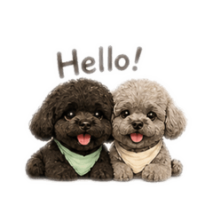 Poodle Lover_20260429171823