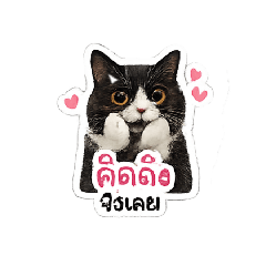Puyfay_20260429172808