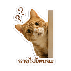 Supakorn_20260429172431