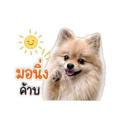 Mai-29_20260429173803