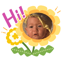 stella_20260429173643