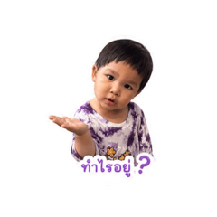 N_20260429174316
