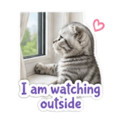 What is the cat doing?