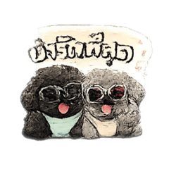 Poodle Lover_20260429175039
