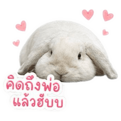 Oppa&Mantou Bunny