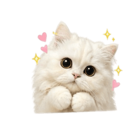 A bag of gold that's stranger than a cat