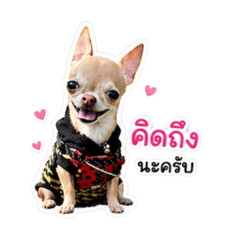 Pemiga Inaphai_20260429175643