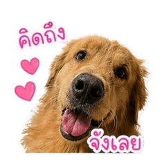 Eiam_20260429180509