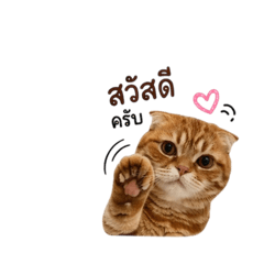 Simon_20260429180512