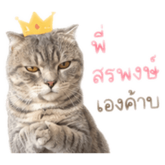 ying211134_20260429180745