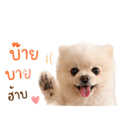 TanTan_20260429181333