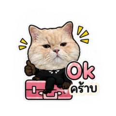 Goog day_20260429181223