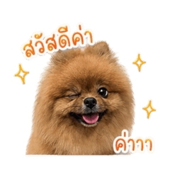 Eiam_20260429181644